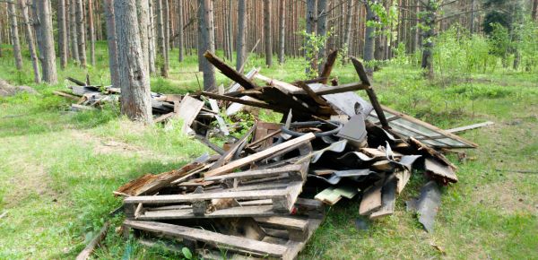 Debris Removal Service in Kirkland